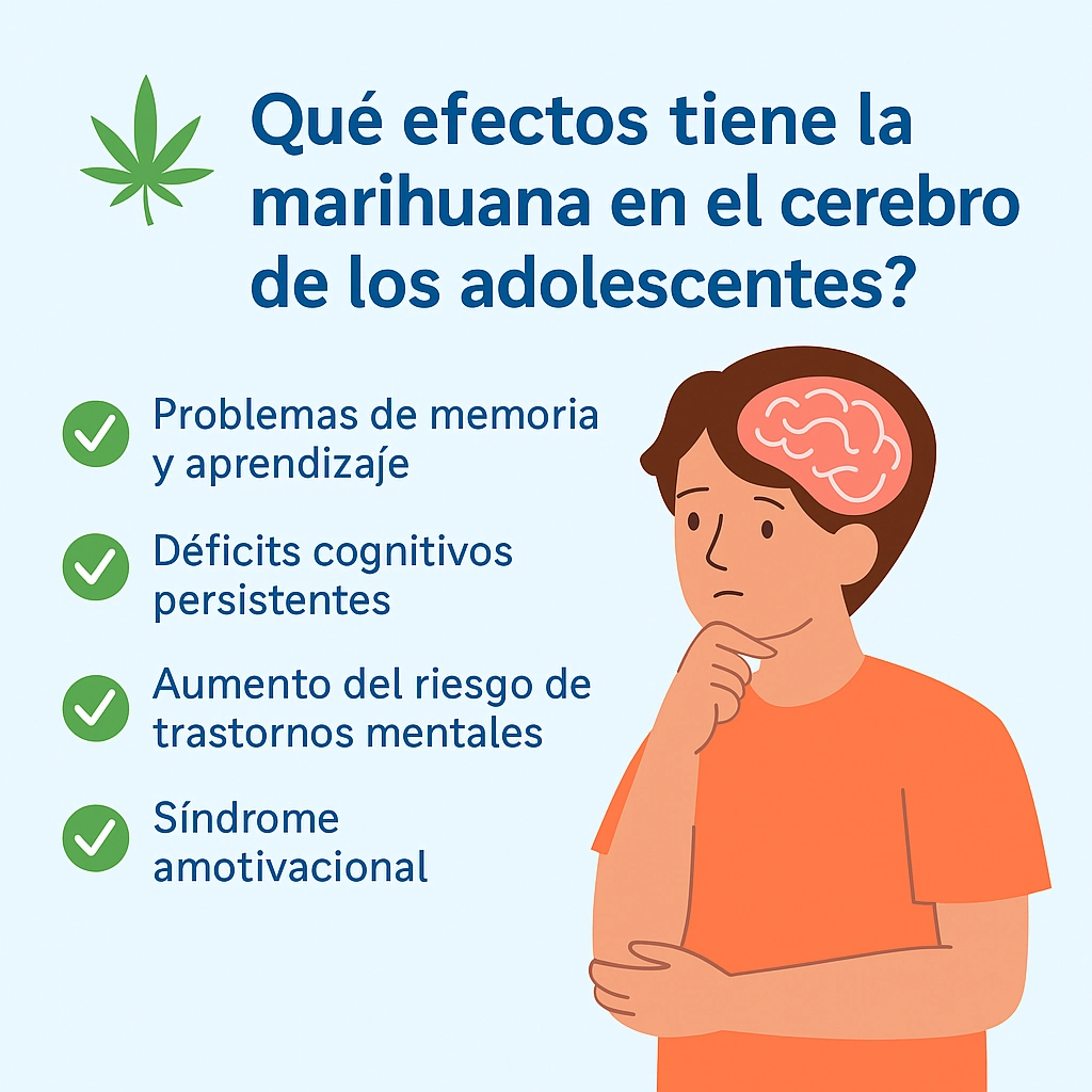 Qué efectos tiene la marihuana en el cerebro de los adolescentes?