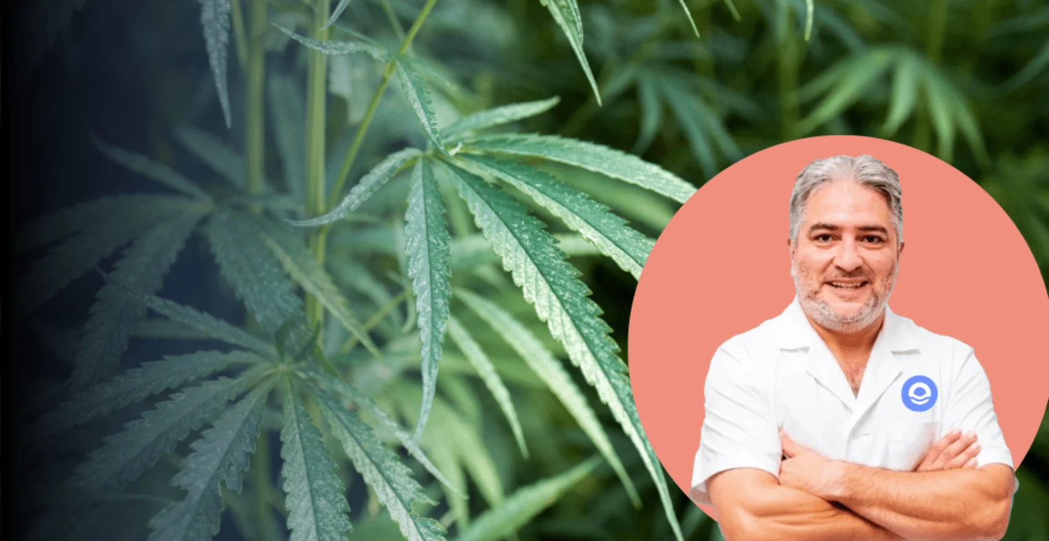 La imagen es una pieza de comunicación institucional de Bella Mar diseñada para generar un impacto inmediato y concienciar sobre los riesgos del consumo de cannabis desde una perspectiva médica. La composición se divide en dos secciones principales. A la izquierda, la figura del psiquiatra aporta autoridad y rigor científico al mensaje; su vestimenta en azul corporativo y el logotipo bordado lo vinculan directamente con los estándares de calidad y cuidado del centro. Su postura firme y mirada directa buscan establecer una conexión de confianza y advertencia con el espectador. A la derecha, el diseño gráfico utiliza un contraste potente. El uso de la palabra "diabólicos" en el titular busca romper la percepción social de que la marihuana es una sustancia inofensiva, subrayando la gravedad de sus efectos secundarios en la salud mental. El fondo, decorado con siluetas de hojas de cannabis, refuerza visualmente el tema tratado sin perder la sobriedad que requiere un mensaje de salud pública. En el contexto de Bella Mar, esta imagen actúa como una cabecera informativa para alertar sobre patologías como la psicosis cannábica, el deterioro cognitivo o la dependencia. El objetivo es desmitificar el consumo y ofrecer una salida profesional a quienes ya sufren sus consecuencias. Al situar el logotipo del centro junto a una alerta médica tan contundente, se posiciona a la institución no solo como un lugar de tratamiento, sino como un referente de prevención y educación sanitaria, comprometido con la salud mental y la recuperación de la autonomía de los pacientes frente a las adicciones.